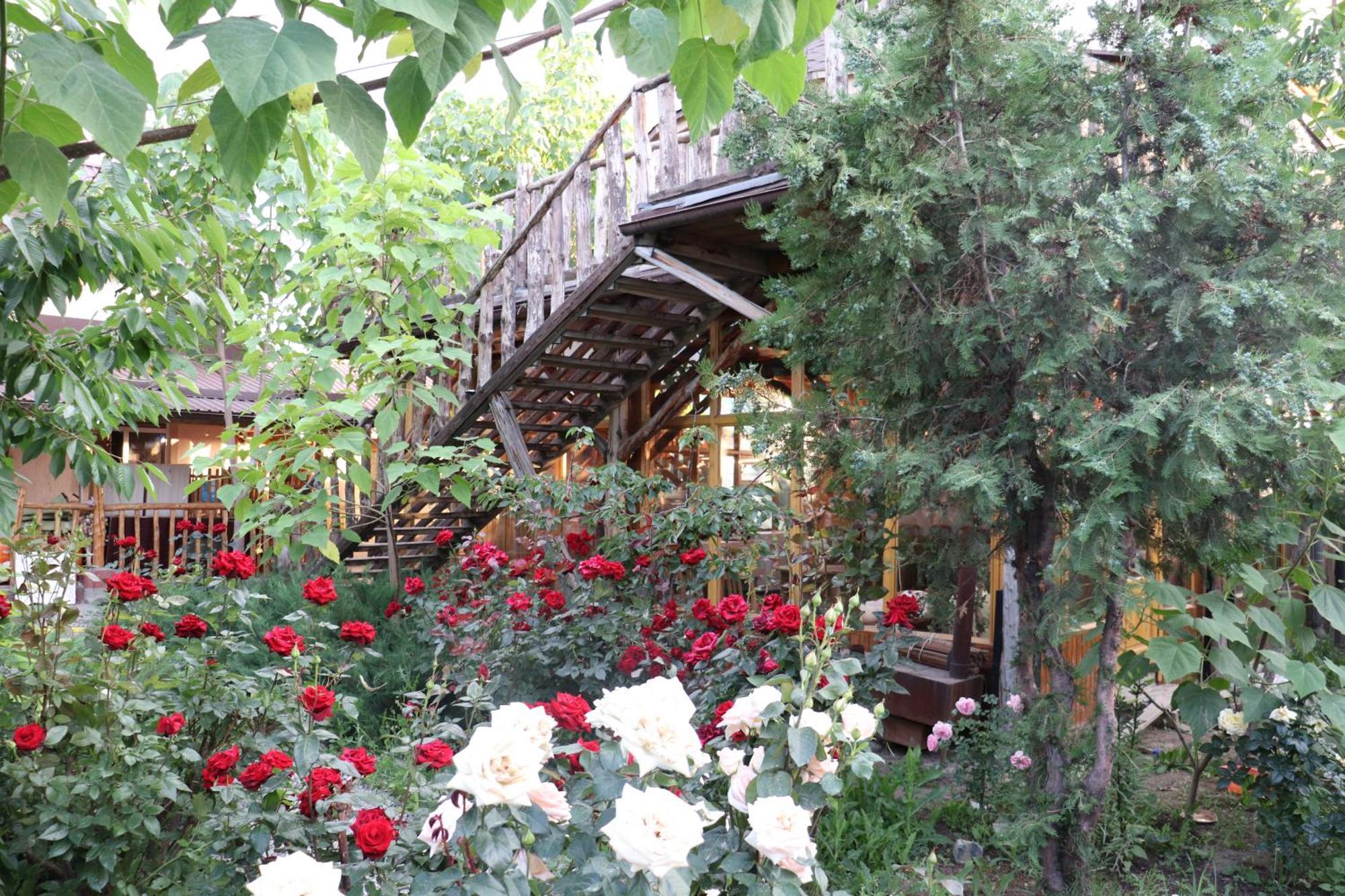 Happy Nomads Yurts & Hostel คาราโคล ภายนอก รูปภาพ