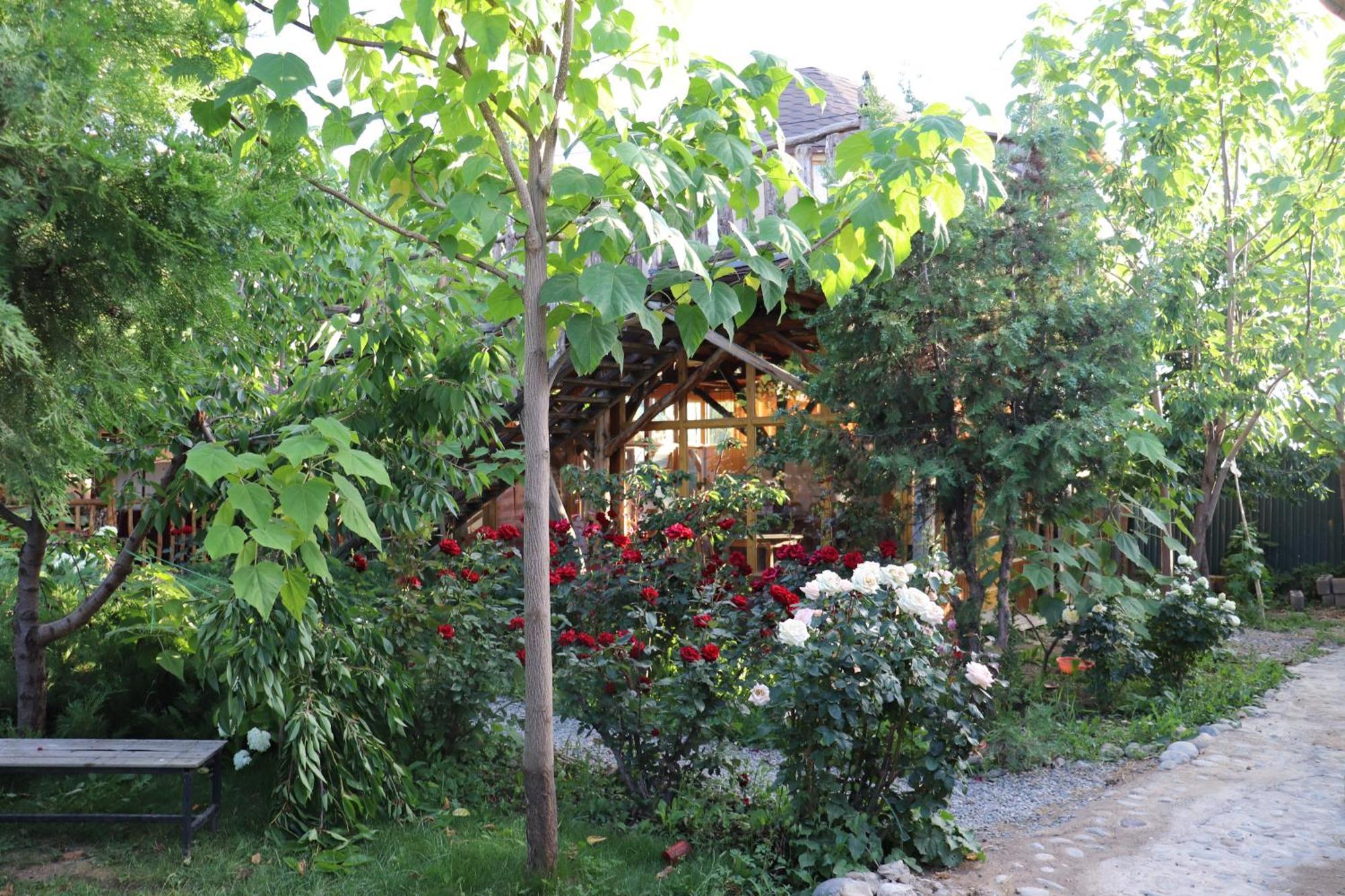 Happy Nomads Yurts & Hostel คาราโคล ภายนอก รูปภาพ