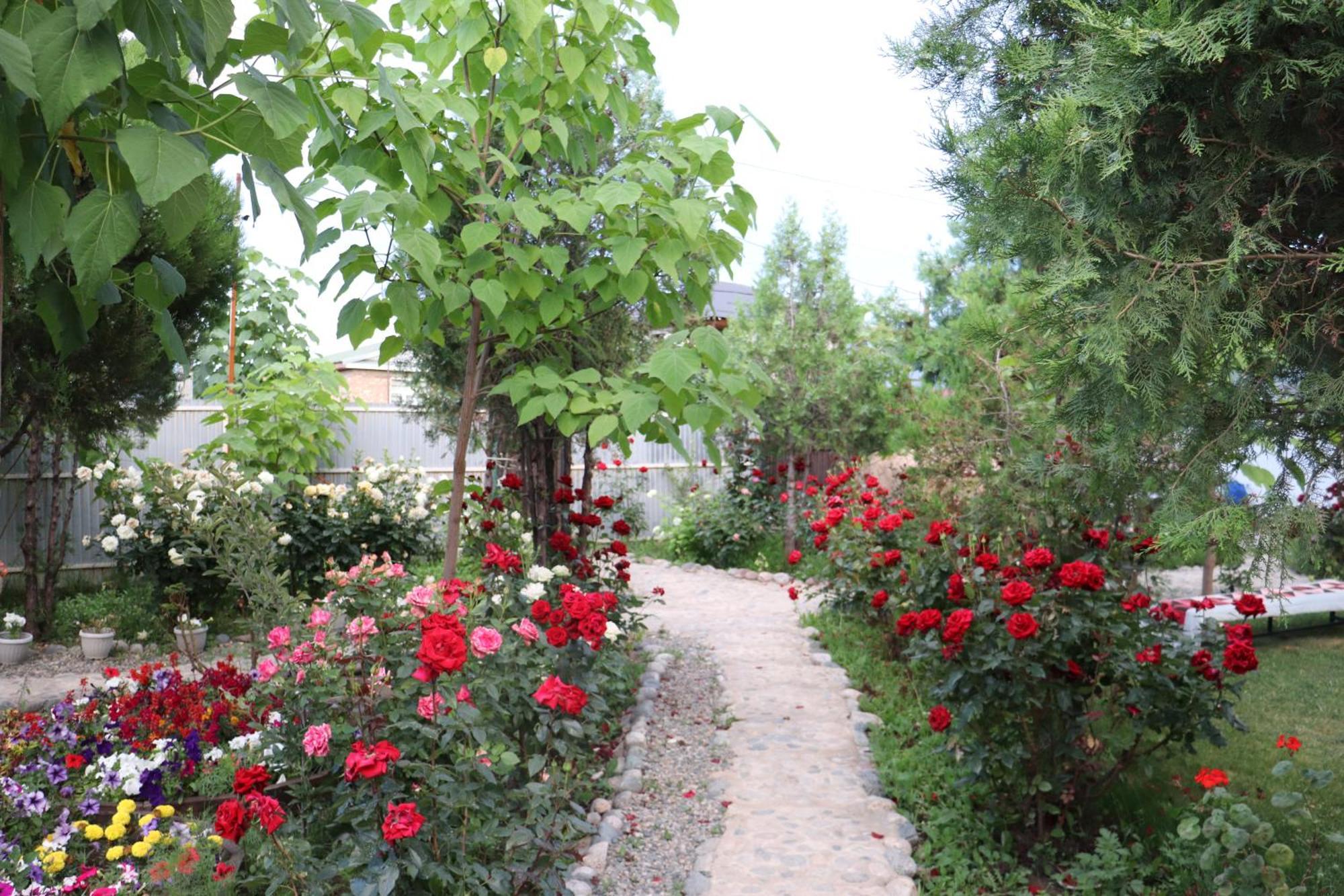 Happy Nomads Yurts & Hostel คาราโคล ภายนอก รูปภาพ