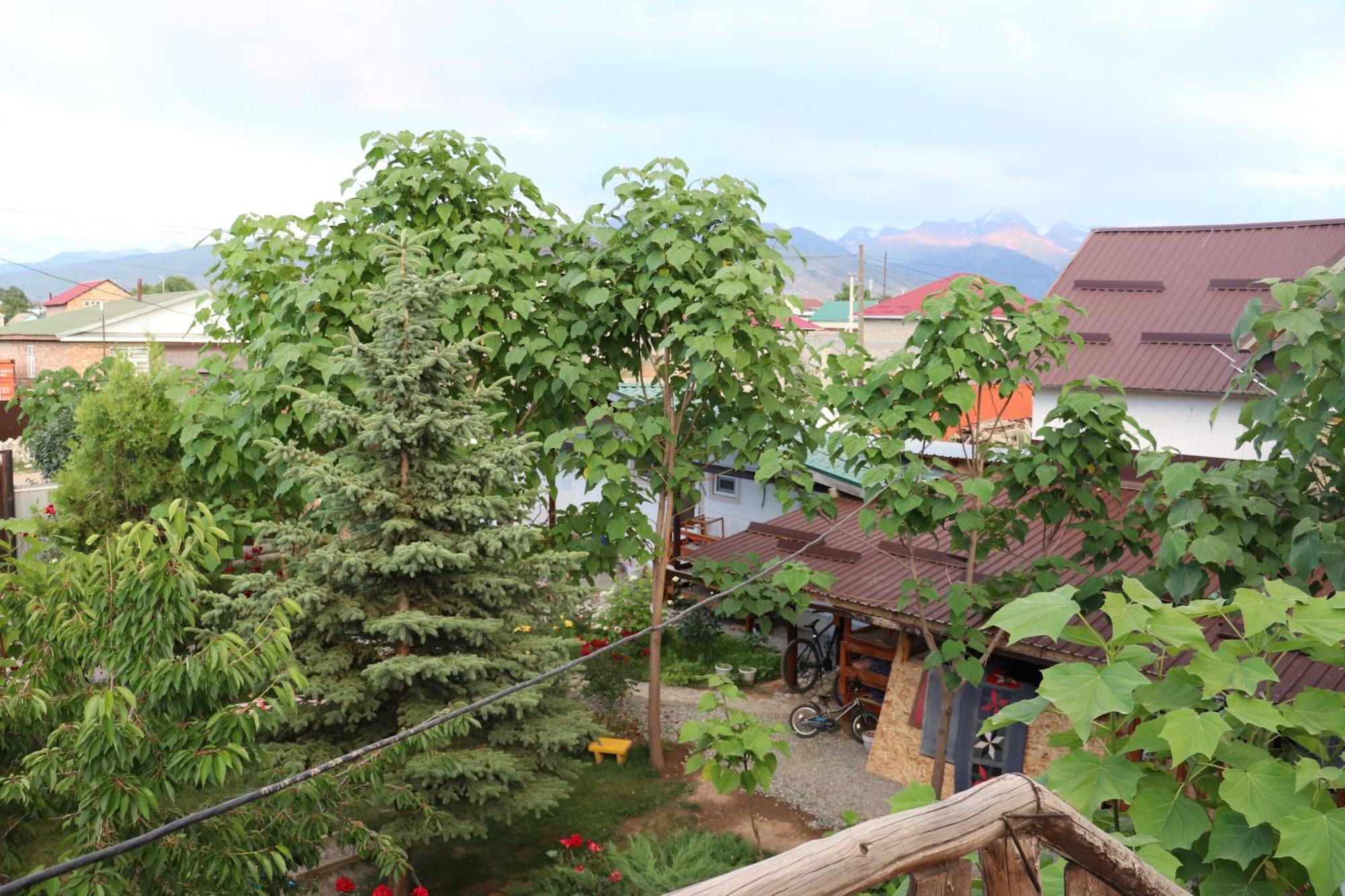 Happy Nomads Yurts & Hostel คาราโคล ภายนอก รูปภาพ