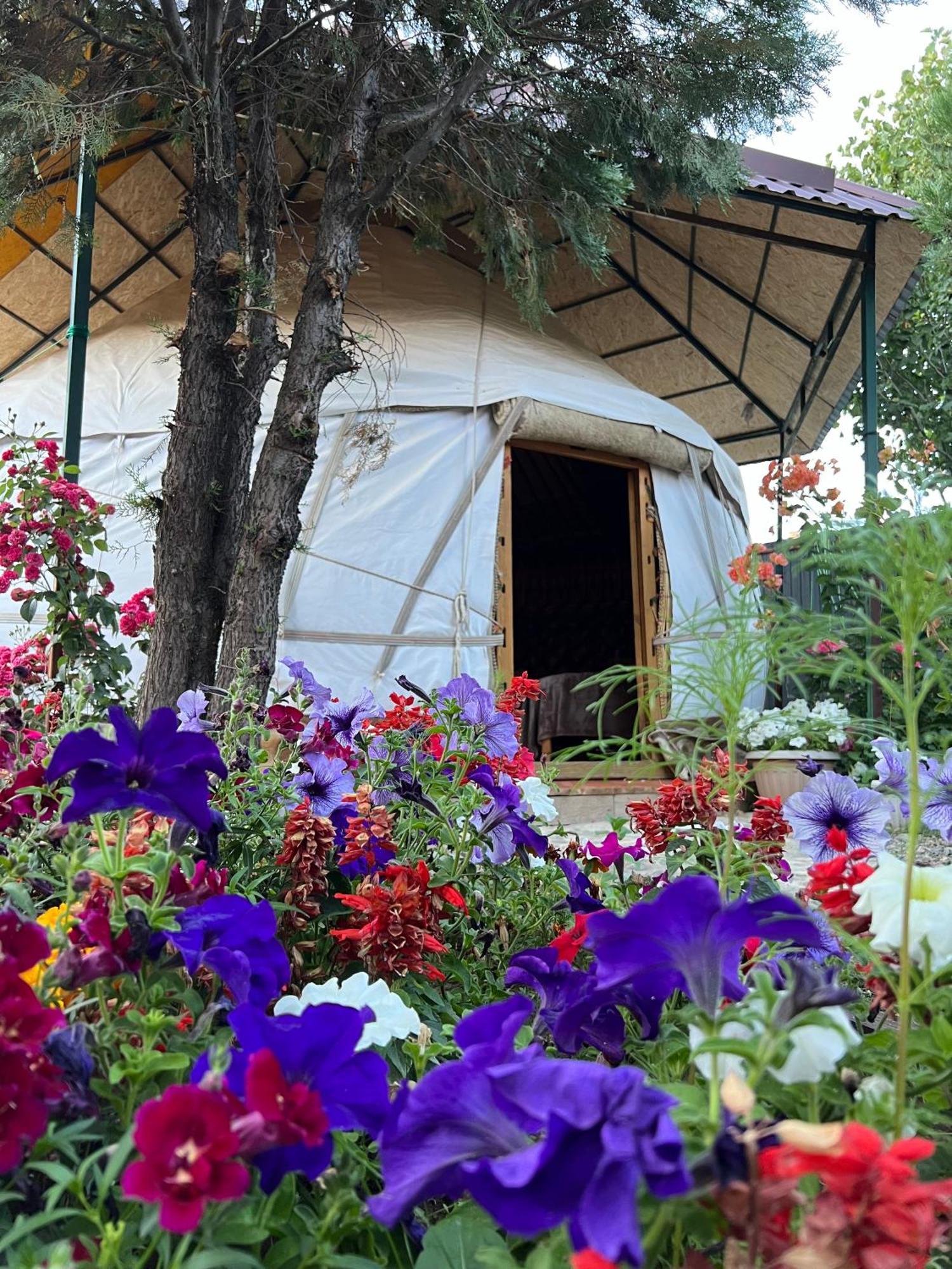 Happy Nomads Yurts & Hostel คาราโคล ภายนอก รูปภาพ