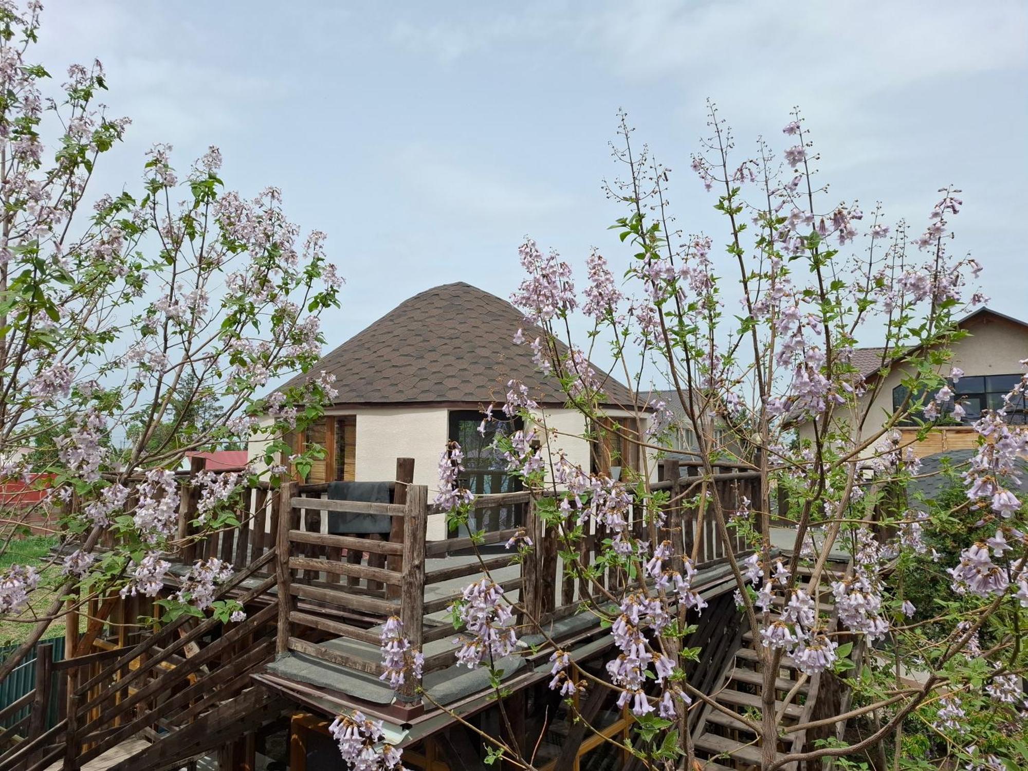 Happy Nomads Yurts & Hostel คาราโคล ภายนอก รูปภาพ