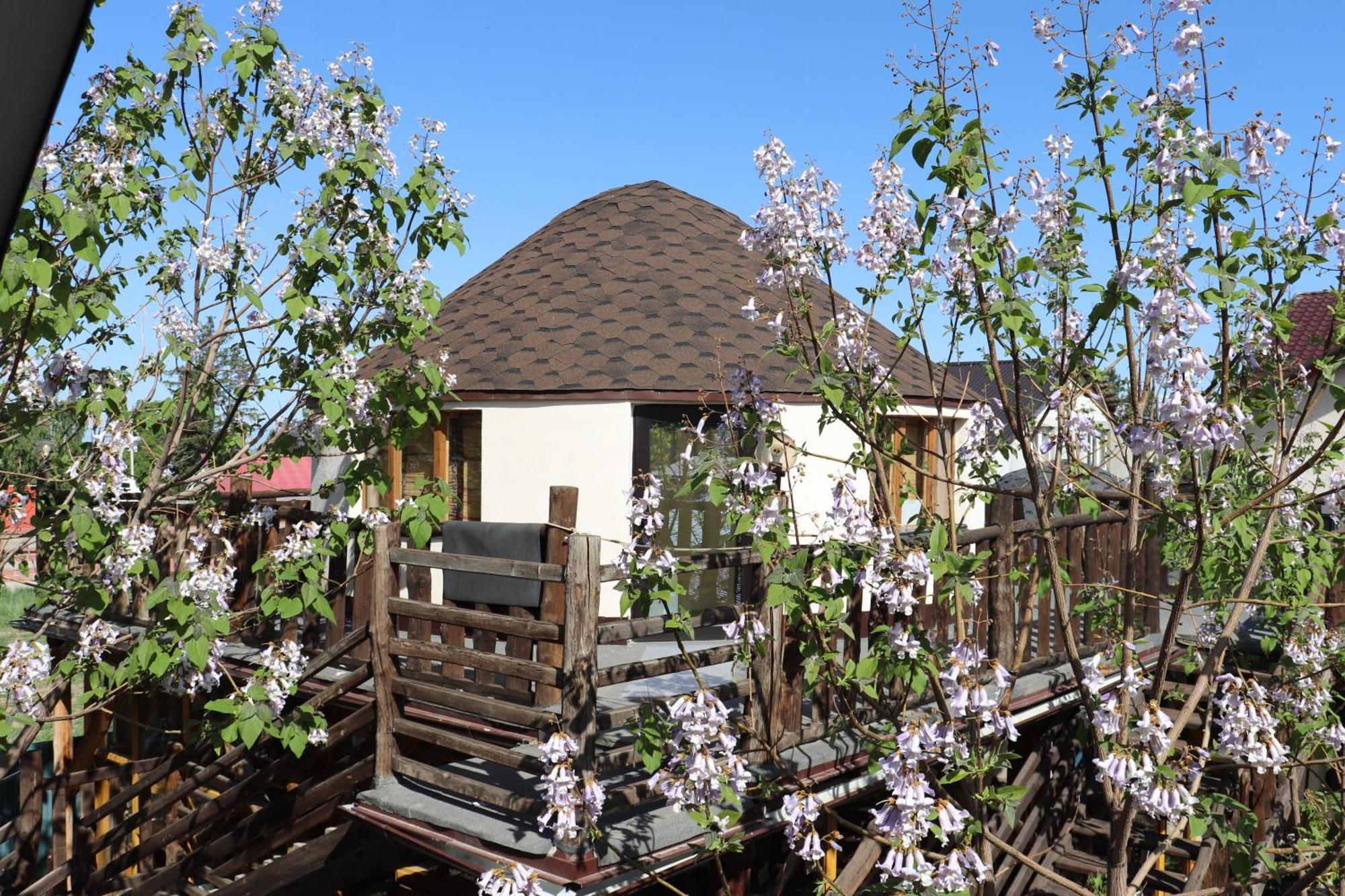 Happy Nomads Yurts & Hostel คาราโคล ภายนอก รูปภาพ